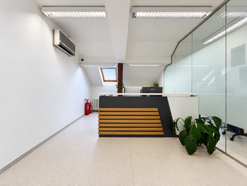 Pronájem kancelářských prostor 219 m², Plzeň