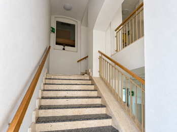 Pronájem kancelářských prostor 219 m², Plzeň