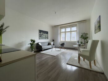 Pronájem bytu 2+kk v osobním vlastnictví 51 m², Praha 7 - Holešovice