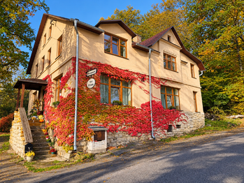 Prodej domu 280 m², Jílové