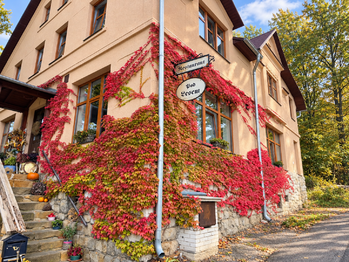 Prodej domu 280 m², Jílové