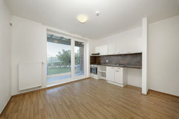 Pronájem bytu 1+kk v osobním vlastnictví 43 m², Šakvice