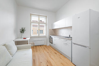 Prodej bytu 1+kk v družstevním vlastnictví 20 m², Praha 3 - Žižkov