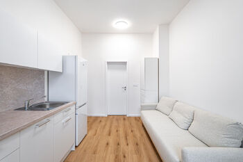 Prodej bytu 1+kk v družstevním vlastnictví 20 m², Praha 3 - Žižkov