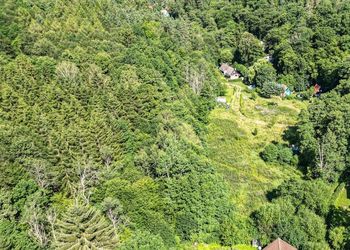 Prodej pozemku, 7297 m2, Horní Bezděkov
