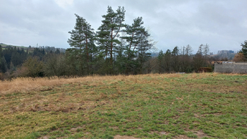 Prodej pozemku, 6002 m2, Deštná