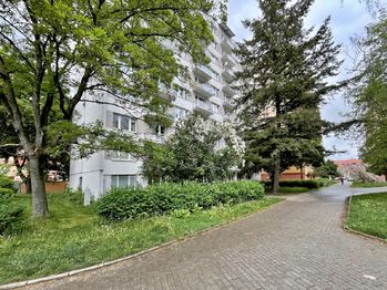 Prodej bytu 1+1 v osobním vlastnictví, 36 m2, České Budějovice