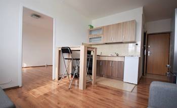 Pronájem bytu 1+1 v osobním vlastnictví, 36 m2, Kladno