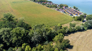 Prodej pozemku, 12306 m2, Šakvice