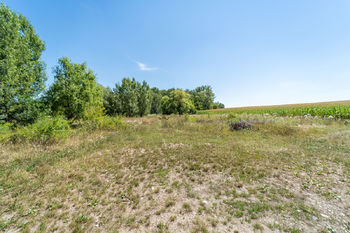 Prodej pozemku, 12306 m2, Šakvice