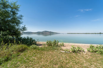 Prodej pozemku, 12306 m2, Šakvice