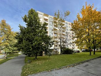 Prodej bytu 2+1 v družstevním vlastnictví, 62 m2, České Budějovice