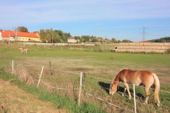 Prodej domu, 108 m2, Obory