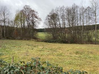Prodej pozemku, 4299 m2, Holubov