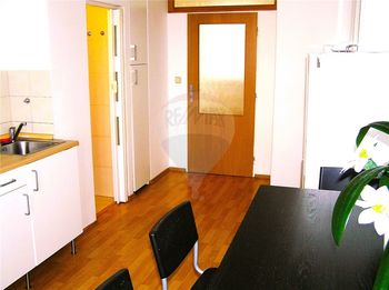 Pronájem bytu 1+1 v osobním vlastnictví, 48 m2, Praha 7 - Holešovice