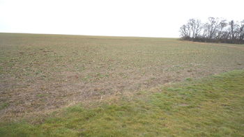 Prodej pozemku, 895 m2, Pavlíkov