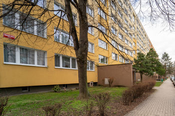Prodej bytu 1+1 v družstevním vlastnictví, 31 m2, Kolín
