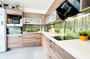 Prodej bytu 1+1 v osobním vlastnictví, 49 m2, Brno