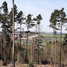 Prodej pozemku, 8586 m2, Štěchovice