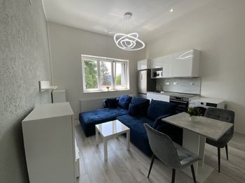 Pronájem bytu 1+kk v osobním vlastnictví, 30 m2, Chomutov