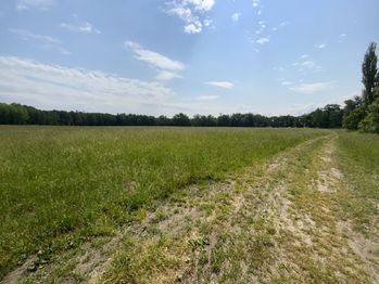 Prodej pozemku, 77680 m2, Skalná