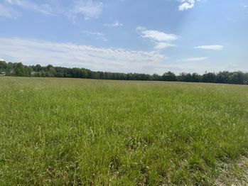 Prodej pozemku, 77680 m2, Skalná