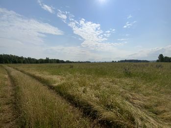 Prodej pozemku, 107498 m2, Skalná