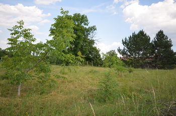 Prodej pozemku, 1191 m2, Beřovice