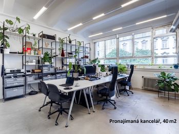 Pronájem komerčního prostoru (kanceláře), 80 m2, Praha 7 - Holešovice