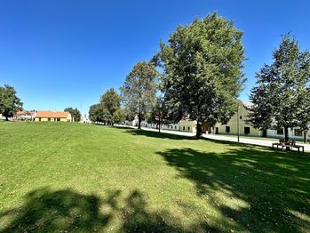 Prodej domu, 430 m2, Jankov