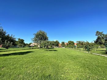 Prodej domu, 430 m2, Jankov
