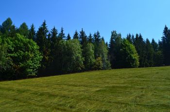 Prodej pozemku, 5242 m2, Jablonec nad Nisou