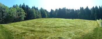 Prodej pozemku, 5242 m2, Jablonec nad Nisou