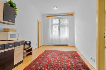 Pronájem bytu 1+1 v osobním vlastnictví, 46 m2, Praha 3 - Vinohrady