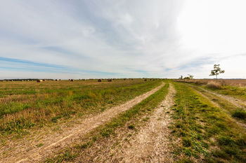 Prodej pozemku, 5652 m2, null