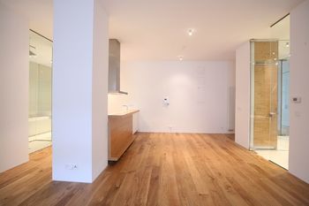 Pronájem bytu 3+kk v osobním vlastnictví, 106 m2, Praha 3 - Vinohrady