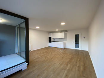 Pronájem bytu 1+kk v osobním vlastnictví, 43 m2, Liberec