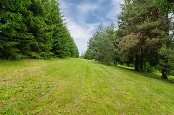 Prodej domu, 371 m2, Kořenec