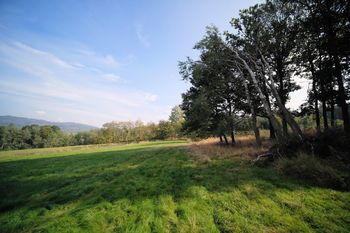 Prodej pozemku, 15612 m2, Malečov
