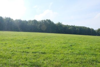Prodej pozemku, 15612 m2, Malečov