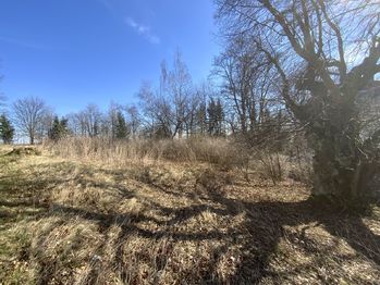 Prodej pozemku, 252 m2, Výsluní