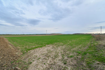 Prodej pozemku, 3665 m2, Terezín