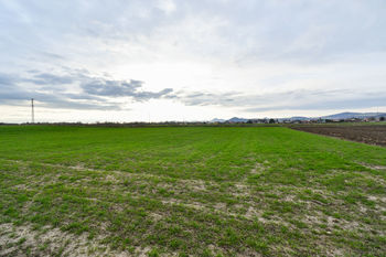 Prodej pozemku, 3665 m2, Terezín
