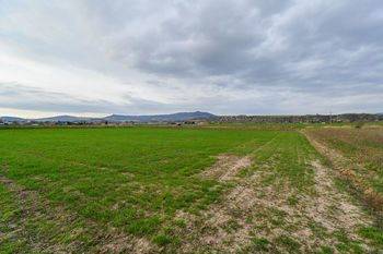 Prodej pozemku, 3665 m2, Terezín