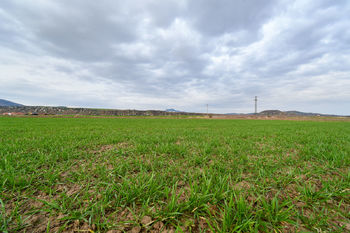 Prodej pozemku, 3665 m2, Terezín