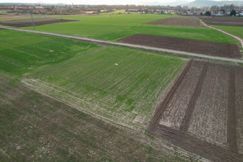 Prodej pozemku, 3665 m2, Terezín