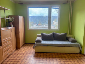 Prodej bytu 1+1 v družstevním vlastnictví, 36 m2, Ústí nad Labem