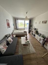 Pronájem bytu 1+kk v družstevním vlastnictví, 37 m2, České Budějovice