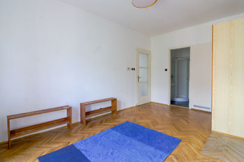 Pronájem bytu 1+1 v družstevním vlastnictví, 48 m2, Praha 6 - Bubeneč