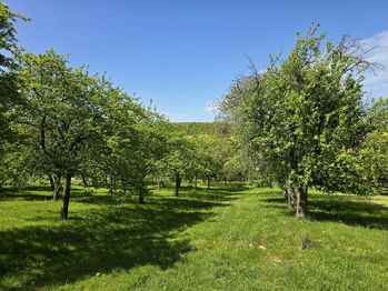 Prodej chaty / chalupy, 291 m2, Pačlavice